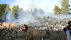 Υπό μερικό έλεγχο η φωτιά στον Άγιο Ονούφριο Μαγνησίας