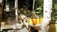 Σρι Λάνκα: Επτά βουδιστές μοναχοί σκοτώθηκαν σε εκτροχιασμό τελεφερίκ