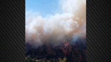 Καλύτερη η εικόνα της φωτιάς στο Άνω Καστρίτσι Αχαΐας - Δείτε βίντεο