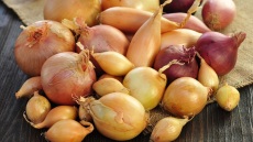 Τι είναι τα εσαλότ και πώς διαφέρουν από τα κοινά κρεμμύδια;