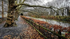 Ελβετία: Απαγορεύεται η χρήση φυσητήρων φύλλων  στη Ζυρίχη