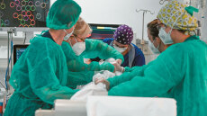 Νοσοκομειακές λοιμώξεις: Κατάσταση συναγερμού για τον επικίνδυνο μύκητα Candidozyma auris - Ποιοι κινδυνεύουν περισσότερο