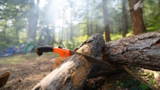 Ελεύθερος υπό όρους ο 62χρονος που κατηγορείται για παράνομη υλοτομία και εμπορία ξυλείας