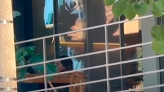 Η στιγμή που ο Βασίλης Μπισμπίκης επιστρέφει στο σπίτι του στη Φιλοθέη μετά την Ευελπίδων και η Δέσποινα Βανδή τον περιμένει στο μπαλκόνι