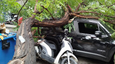 Ατύχημα προκάλεσε η νεροποντή στην Αθήνα – Δέντρο ξεριζώθηκε και τραυμάτισε περαστικό, βίντεο και φωτογραφίες