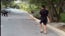 Βίντεο: Η τρομακτική στιγμή που ο Αργεντινός άσος Άνχελ Κορέα και η μικρή του κόρη «συναντήθηκαν» με αρκούδα