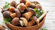 Μανιτάρια πορτομπέλο, πλευρώτους, αγαρικά, λεντινούλες: Πώς θα τα μαγειρέψετε τέλεια