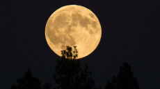 Πανσέληνος Οκτωβρίου 2025: Σήμερα το «Φεγγάρι της Συγκομιδής»