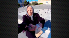 Γέμισε το TikTok με ΑΙ βίντεο που δείχνουν ηλικιωμένους να «συλλαμβάνονται» από στελέχη της ΕΛ.ΑΣ