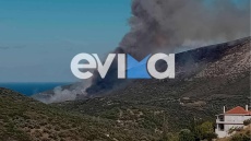 Φωτιά στους Ζάρακες Εύβοιας - Ισχυρές δυνάμεις της Πυροσβεστικής στο σημείο, δείτε βίντεο