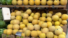 Από τους Γαργαλιάνους στο Παρίσι: Το ελληνικό πεπόνι της Μεσσηνίας σε μενού Michelin