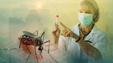 Ιός Δυτικού Νείλου: Ποια χώρα της Ευρώπης είναι στο επίκεντρο – Η θέση της Ελλάδας
