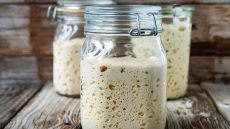 Lievito Madre - Ή αλλιώς «η μάνα των προζυμιών », η καρδιά της ιταλικής κουζίνας