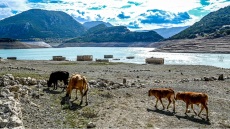 Νέα υποχώρηση στην επιφάνεια της λίμνης του Μόρνου - Στα χαμηλότερα επίπεδα της 10ετιας το συνολικό ετήσιο ύψος βροχής στην περιοχή