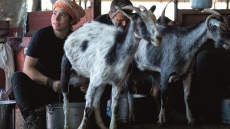 Παγκόσμια Ημέρα Αγρότισσας: Οι γυναίκες της υπαίθρου είναι η αθέατη δύναμη πίσω από την τροφή μας