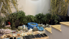 Τρία πλήρως εξοπλισμένα εργαστήρια κάνναβης εντόπισε η Αστυνομία στην Τροιζηνία - Επτά συλλήψεις