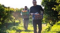 Παγκόσμια Ημέρα Διατροφής 2025: Χέρι με χέρι για καλύτερα τρόφιμα και ένα καλύτερο μέλλον