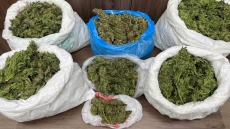 Κρήτη: Σχεδόν 14 κιλά κάνναβης βρέθηκαν στο Ρέθυμνο - Ένας ανήλικος ανάμεσα στους τέσσερις συλληφθέντες