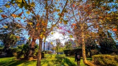 Καιρός: Φθινόπωρο... σε αναμονή: 29άρια έδειξε το θερμόμετρο - Πού αναμένονται βροχές και καταιγίδες τη Δευτέρα