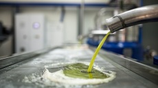 Από το λιοτρίβι στο σπίτι: Πώς φυλάμε το φρέσκο ελαιόλαδο για να μείνει αρωματικό και γευστικό όλο τον χρόνο