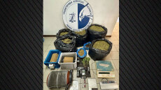 Σύλληψη στη Μεσσηνία για παραβίαση της άδειας για βιομηχανική κάνναβη - Θα έβγαζε 75.000 ευρώ