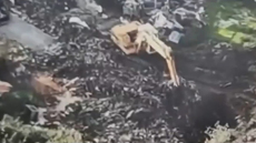 Βίντεο από τη στιγμή που θάβουν τόνους από ζωικά απόβλητα κοντά στον Λούρο ποταμό