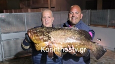Ψάρεψαν ροφό-γίγα 20 κιλών στον Κορινθιακό