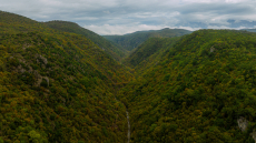 Οδοιπορικό στο Πωγώνι: Απολαμβάνοντας τα αληθινά χρώματα της Φύσης σε έναν ανέγγιχτο τόπο
