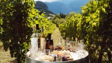 Η τέχνη της απόσταξης και παλαίωσης: Το μυστικό πίσω από το τσίπουρο Τσιλιλή