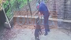 «Ήταν μια ατυχής στιγμή, ο σκύλος ήταν μέλος της οικογένειας» λέει ο γιος του 76χρονου για την επίθεση του ροτβάιλερ