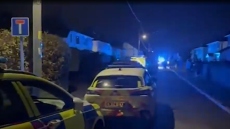 Ουαλία: Σκύλος κατασπάραξε μωρό 9 μηνών