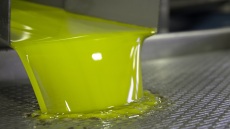 Φρέσκο λάδι: τι σημαίνει πραγματικά και πώς το ξεχωρίζουμε