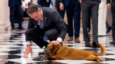 Ο Πίνατ... πρωταγωνιστής στις συνομιλίες για τα ενεργειακά στο Μαξίμου: Δάγκωνε ένα παιχνίδι, τον χάιδεψε ο υπουργός Εσωτερικών των ΗΠΑ