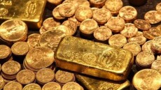 Γαλλία: Ιδιοκτήτης σπιτιού έσκαβε για να φτιάξει πισίνα στην  αυλή του και βρήκε... θησαυρό