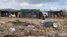 «Κολαστήριο» για ζώα στα παλιά σφαγεία Νέας Αλικαρνασσού, σε άθλια κατάσταση σκύλοι, άλογα και πρόβατα - Μία σύλληψη