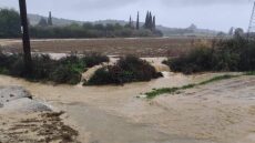 Αγρίνιο: Προβλήματα από τις βροχές - Πλημμύρισαν δρόμοι, μπήκαν νερά σε σπίτια, δείτε βίντεο