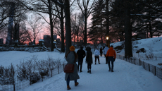 Πολικό κύμα ψύχους σαρώνει τις ΗΠΑ – Θερμοκρασίες ρεκόρ ακόμη και στη Φλόριντα