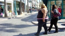 Οι ΗΠΑ βάζουν... στοπ σε παχύσαρκους μετανάστες αυστηροποιώντας τους κανονισμούς για την έκδοση βίζας