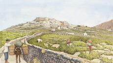 «Θηραϊκές Τελετουργίες»: Η έκθεση της Αρτέμιδας Χατζηγιαννάκη στον εκθεσιακό χώρο του Φιλολογικού Συλλόγου «Παρνασσός»