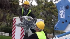 Πότε θα φωταγωγηθεί το δέντρο της Αθήνας στην πλατεία Συντάγματος - Έρχεται από τη Βυτίνα και έχει ύψος 19 μέτρα
