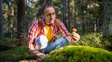 Μάθετε τα πάντα για τα δηλητηριώδη μανιτάρια – Ο κίνδυνος οξείας ηπατικής ανεπάρκειας
