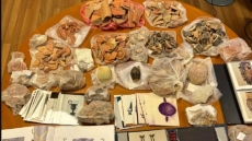 Κύκλωμα αρχαιοκαπήλων: Ο καθηγητής που πιάστηκε με πλήθος αρχαιοτήτων και η συνεργασία του με Βούλγαρο μεγιστάνα