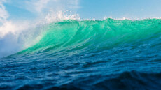 Οι ωκεανοί βρίσκονται υπό άνευ προηγουμένου πίεση - Η Μεσόγειος ένα από τα πιο ανησυχητικά σημεία