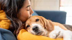 Αυτό είναι το τέλειο αγχολυτικό – Και μας το προσφέρει το κατοικίδιό μας
