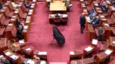 Αυστραλία: Επταήμερη... αποβολή σε ακροδεξιά γερουσιαστή για την εμφάνισή της με μπούρκα στη βουλή