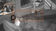 Το δράμα πίσω από το δυστύχημα στο Παγκράτι - Αναζητείται δομή για τη φιλοξενία της 32χρονης ΑμΕΑ κόρης του θύματος