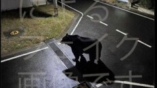 Ιαπωνική πόλη απέσυρε ανάρτηση για εμφάνιση αρκούδας λόγω εικόνας που είχε δημιουργηθεί μέσω ΑΙ