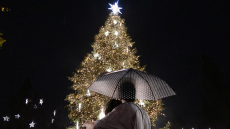 Η Αθήνα φόρεσε τα γιορτινά της, φωταγωγήθηκε το χριστουγεννιατικο δέντρο στο Σύνταγμα - Δείτε βίντεο και φωτογραφίες