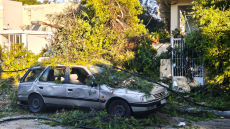 Έπεσαν δέντρα από το μπουρίνι στην Κηφισιά - Ζημιές σε μάντρες σπιτιών, κολόνες της ΔΕΗ και σταθμευμένα ΙΧ, δείτε εικόνες
