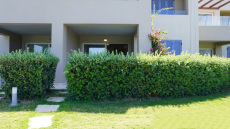 Πουλούσαν παιδιά και σε μοναχικούς άνδρες - Νέες αποκαλύψεις για την «βιομηχανία βρεφών» στα Χανιά